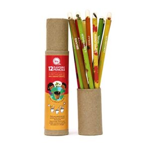 bioQ Box of 12 Plantable Seed Pencils | Eco Friendly Gift Box for Kids | Recycled Paper Packaging | Grow Plants From Pencils
