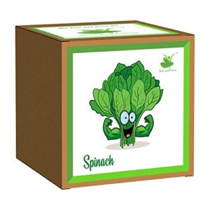 Sow and Grow DIY Easy Gardening Kit of Spinach for Home and Garden (Grow it Yourself) Best Eco Friendly Kids Birthday Return Gift