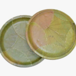 My Dream Earth- Bio Degradable Disposable PlateBio Degradable Disposable Plates